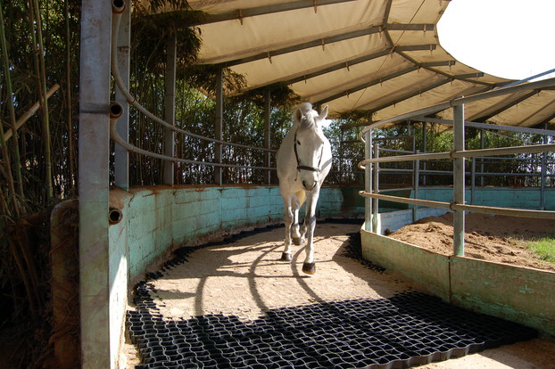 Consolidation of equestrian surfaces_13