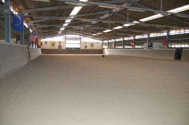 Consolidation of equestrian surfaces_4