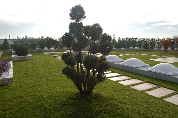 Extensive Roof Garden with Grass_3