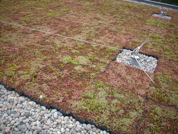 Carrier Planted Roof Garden_3