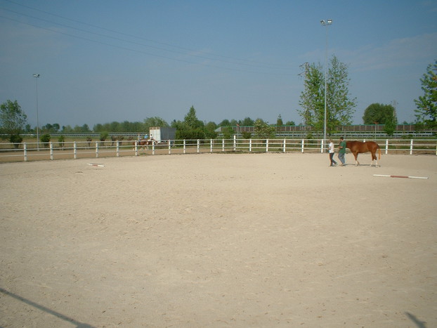 Consolidation of equestrian surfaces_5