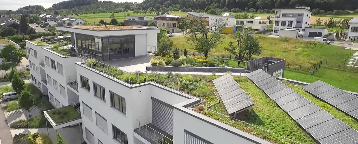 Green rooftops France