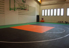 basketball indoor gripper surface