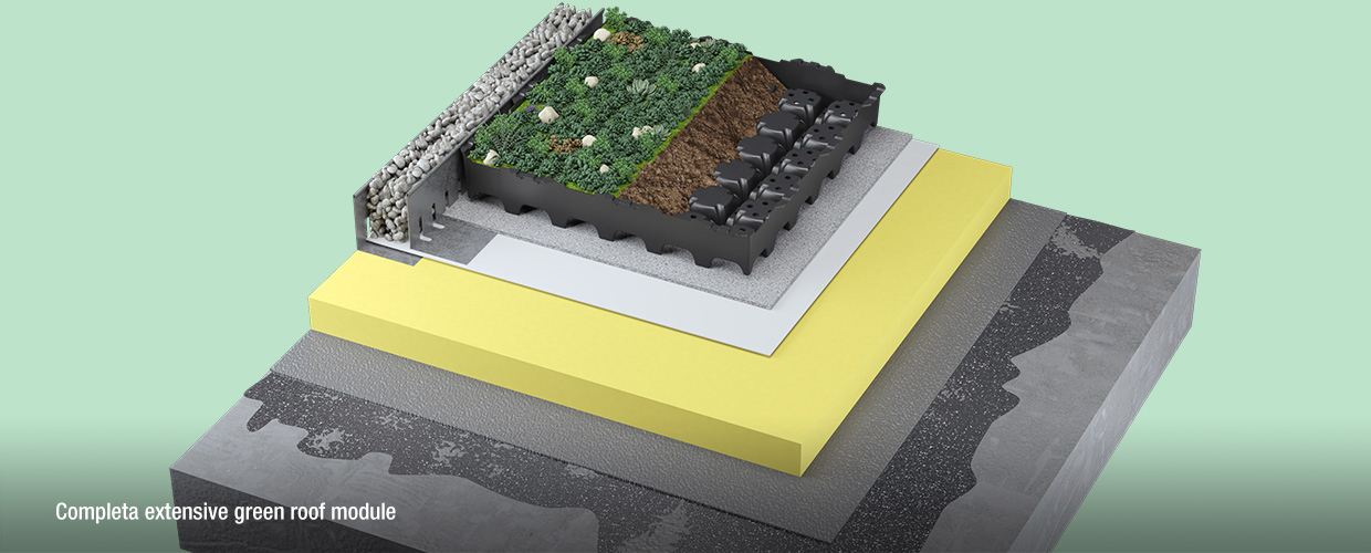 Completa extensive green roof module