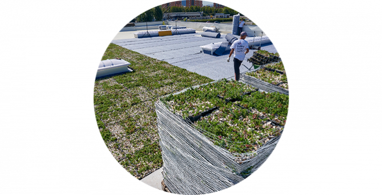 Geoplast Completa green roof installation